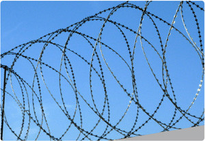 СББ спиралевидный барьер безопасности 900х35х5