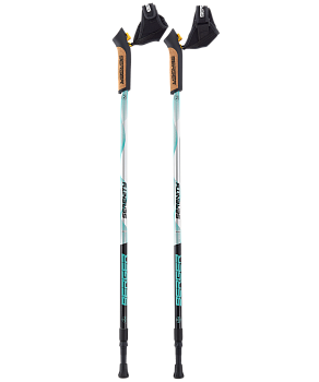 Скандинавские палки Serenity, 77-135 см, 2-секционные, серебристый/черный/мятный, для треккинга Скандинавские палки Serenity, 77-135 см, 2-секционные, серебристый/черный/мятный, для треккинга